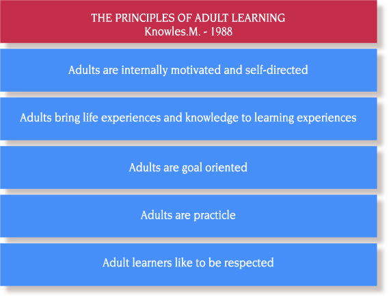 adult education techniques and principles